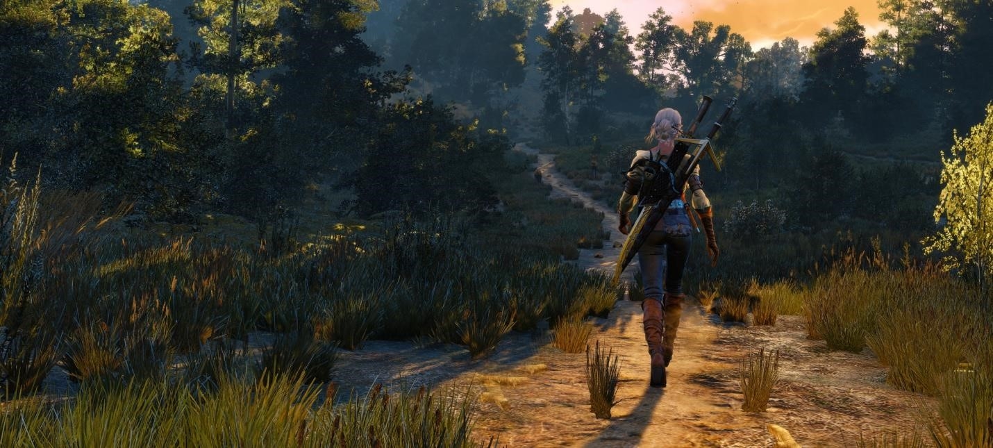 the witcher us